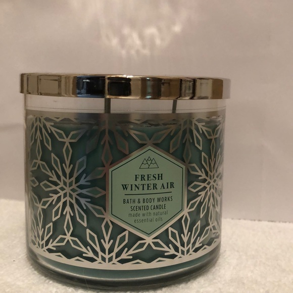 Bath & Body Works Accents Nwt Bath Body Works Fresh Winter Air